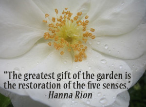 15 Inspiring Gardening Quotes and Sayings by Famous Authors