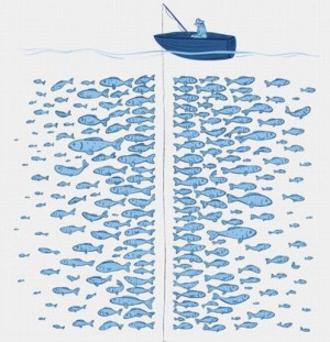 نهایت بدشانس بودن در ماهیگیری ! عکس ...