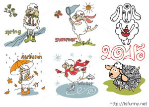 2015 year of sheep funny wallpaper funny picture