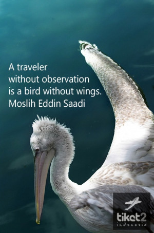 traveler without observation is a bird without wings