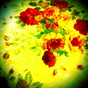 Pinned by Helena Vargas