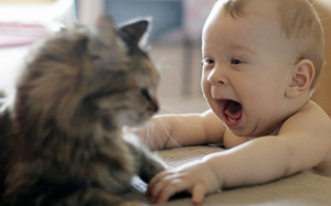 Description: Funny Baby And Cat HD Wallpaper is a hi res Wallpaper for ...