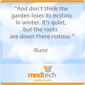 inspiration #winter #roots