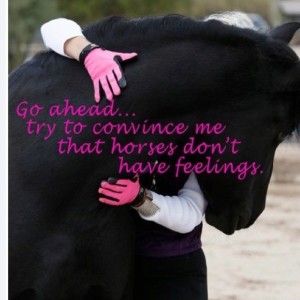 Horses have feelings too!