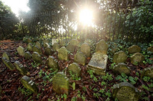 Pet Cemetery in Central London (8 pics) - Picture #6