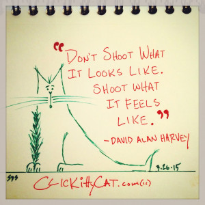 David Alan Harvey quote. “Don’t shoot what it looks like. Shoot ...