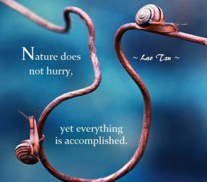 Taoist Proverb from Lao Tzu: Nature does not hurry ...