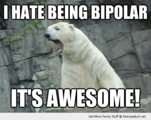 hate being bipolar angry polar bear awesome animal zoo funny pics ...