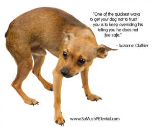 Filed Under: dog Tagged With: fear in dogs , quote about dogs ...