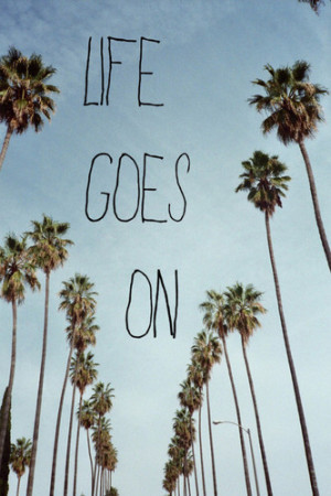 Life, palms and quote pictures