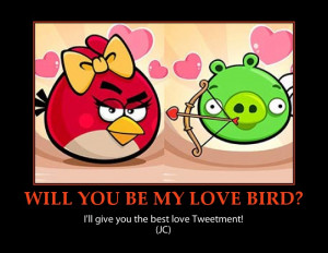 Angry birds-valentine-funny