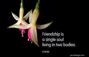 Soul Friendship Quotes
