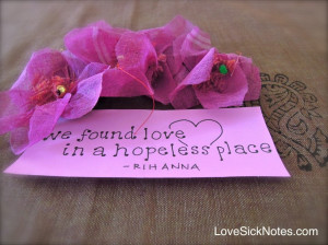 ... : Where To Find Hope In A Hopeless Place With Picture Of Purple Rose