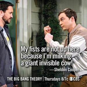 The best thing about The Big Bang Theory is the funny lines and great ...
