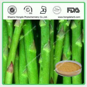 View Product Details: High Quality Asparagus Root Extract 5:1
