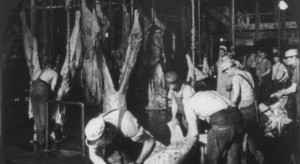 ... split backbones in Swift's Packing House, Chicago, in the early 1900s