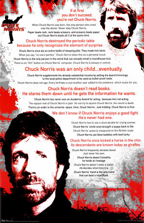 Chuck Norris - Buy this poster at AllPosters.com