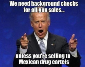 Joe Biden on background checks for gun