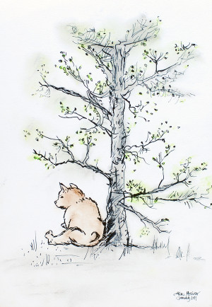 Winnie the Pooh Tree Drawings