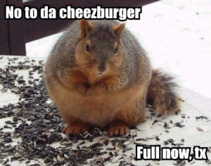 by Sign in Rocky Mountain National Park