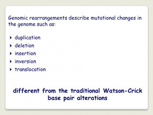 duplication deletion insertion inversion translocation different from
