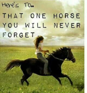 That one horse you will never forget