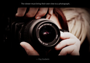 The Right Focus, The Right Moment, The Right Feel ] Photographers ...