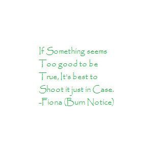 Burn Notice...LOVE ME SOME FIONA!