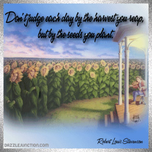 ... from Dazzle Junction Pictures Images Quotes Graphics wallpaper