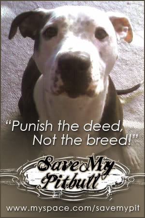 Save Pitbull From Votes