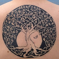 Tree Life Foot Tattoo Tattoos