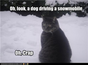 Funny Snowmobile Sayings