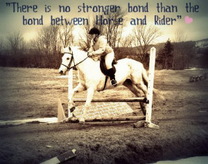 Horse Jumping Quotes