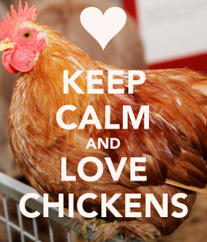 KEEP CALM AND LOVE CHICKENS