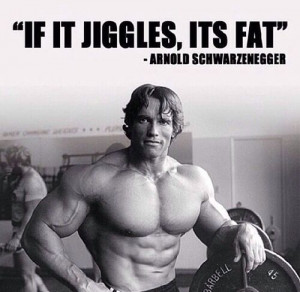 Quotes, 500488 Pixel, Arnold Schwarzenegger Quotes, Arnold Quotes ...