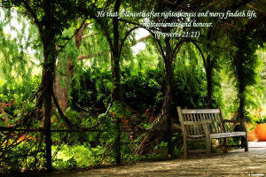 Tranquil Quotes Pictures