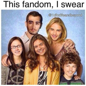 Welcome to the One Direction fandom!