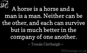 ... ... Better in the company of one another. #horse #quote #inspiration