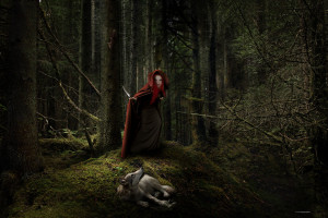 Hoodwinked The True Story Little Red Riding Hood