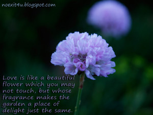 LOVE QUOTES FLOWER WALLPAPER HIGH DEFINITION