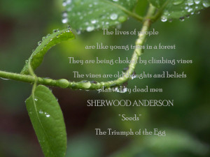 The lives of people are like young trees in a forest. They are being ...