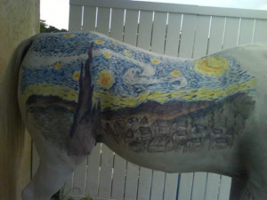 ... she painted van gogh s starry night on her white arabian horse