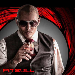 ... pitbull ft chris brown 2 pitbull bon bon 3 pitbull hotel room service