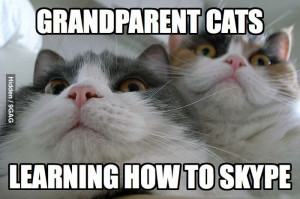 Grandparent Cats Learning To Skype