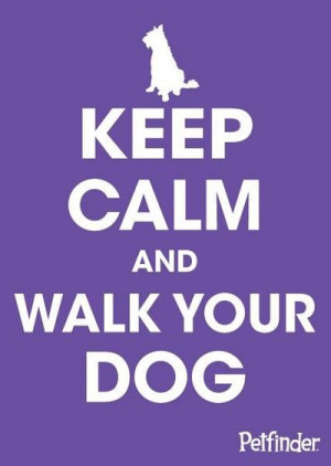 Keep Calm and Walk Your Dog