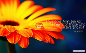 Free Download Beautiful Islamic Quotes
