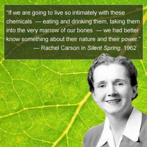 Rachel Carson--A true visionary.