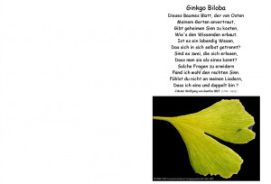 Ginkgo Biloba Gedicht Von J W Goethe Als Verschenktext