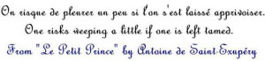 Little Prince Quote