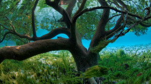 Mangrove seen from underwater, Aldabra, Seychelles (© Expeditieteam ...
